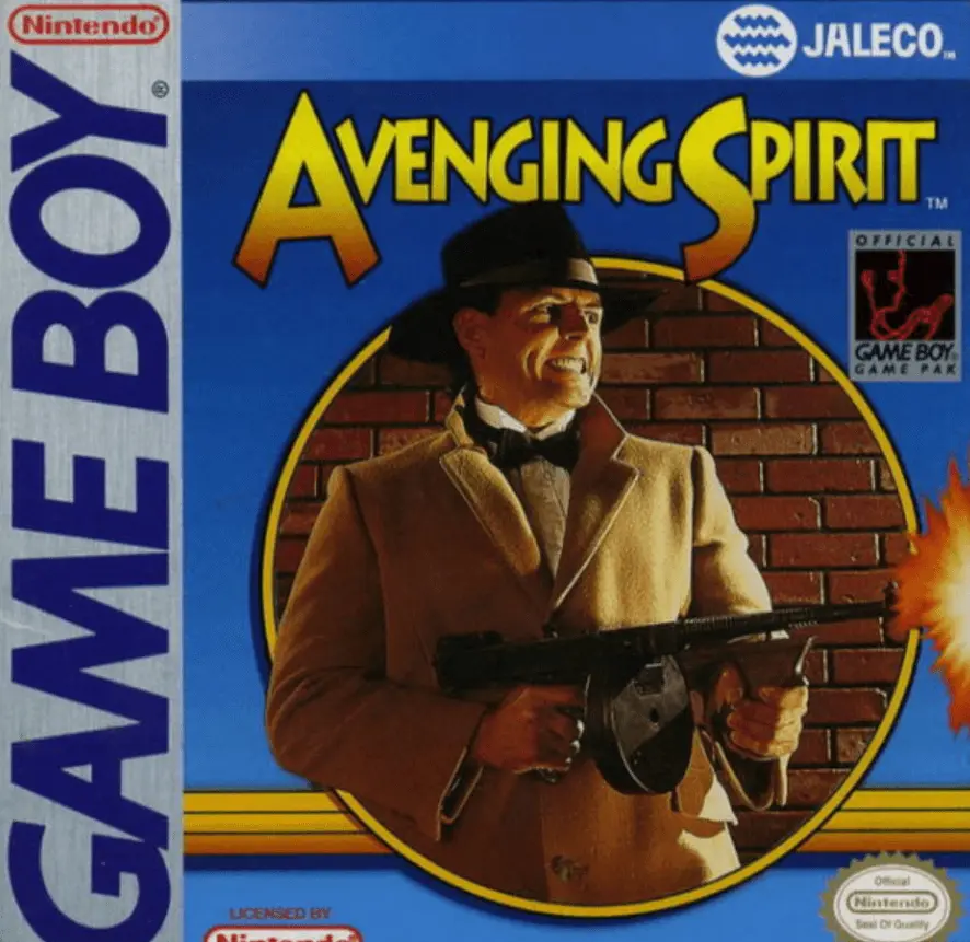 Avenging Spirit ROM box art