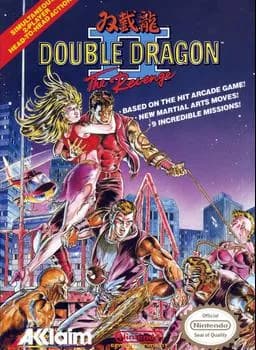 Double Dragon II: The Revenge ROM box art